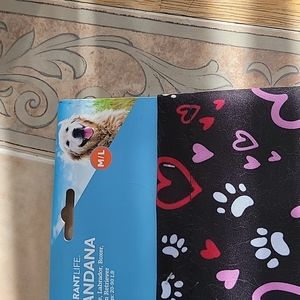 Valentines Dog scarf.